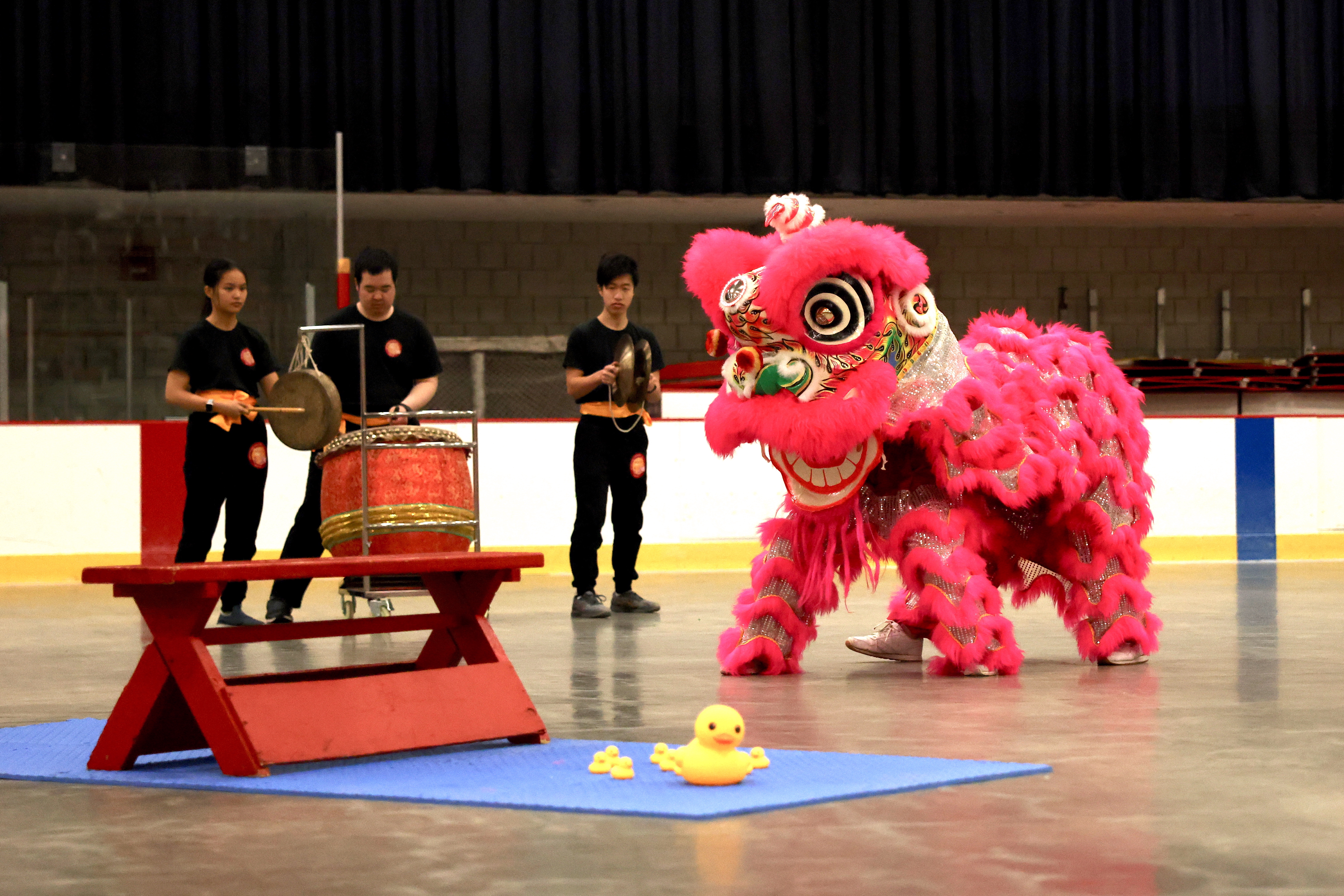 Chinese Lion Dance performance by Northeastern University Dragon and Lion Dance Troupe