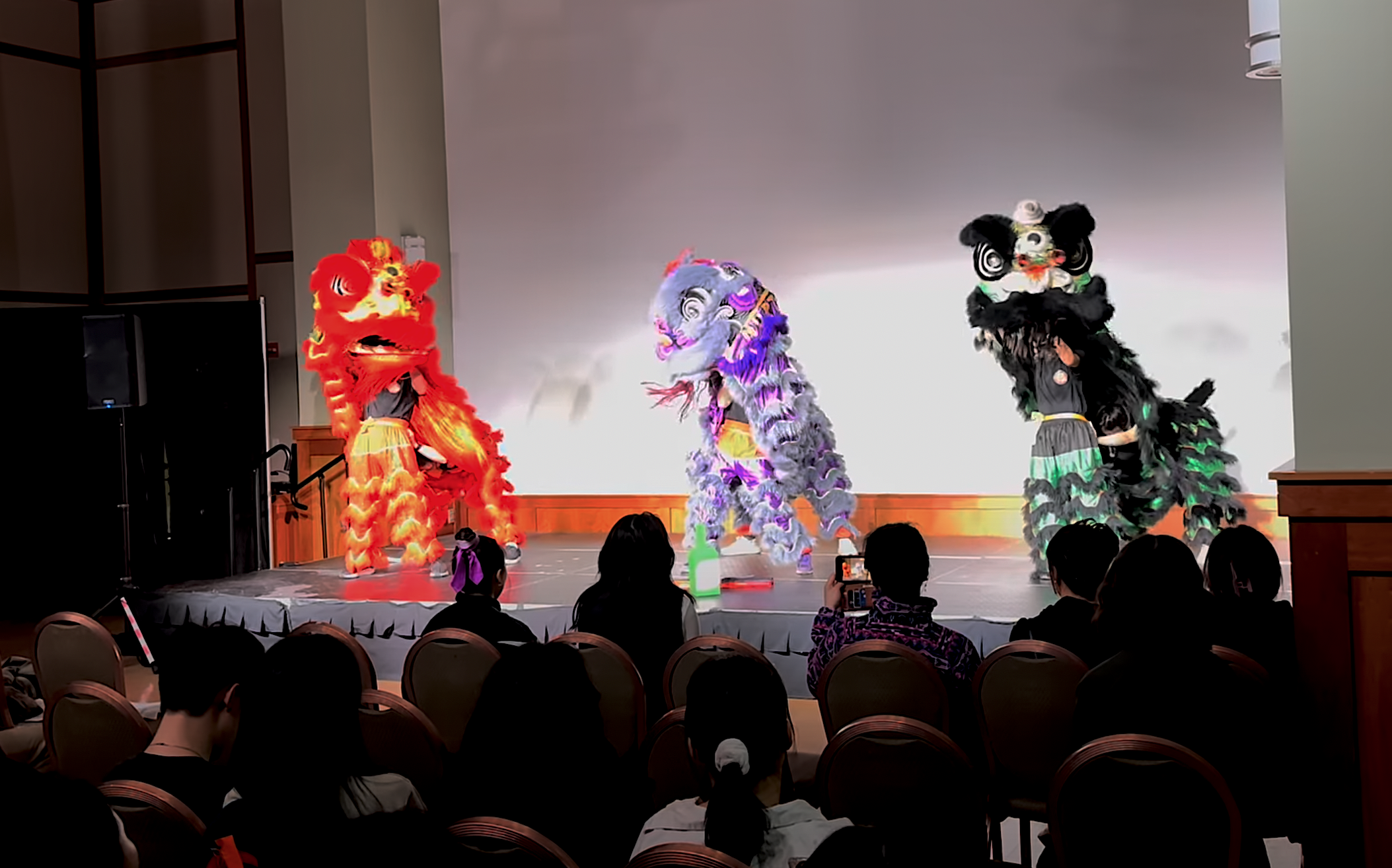 Lion Dance Performance at NEU CSA Culture Show: Dimensions Apart