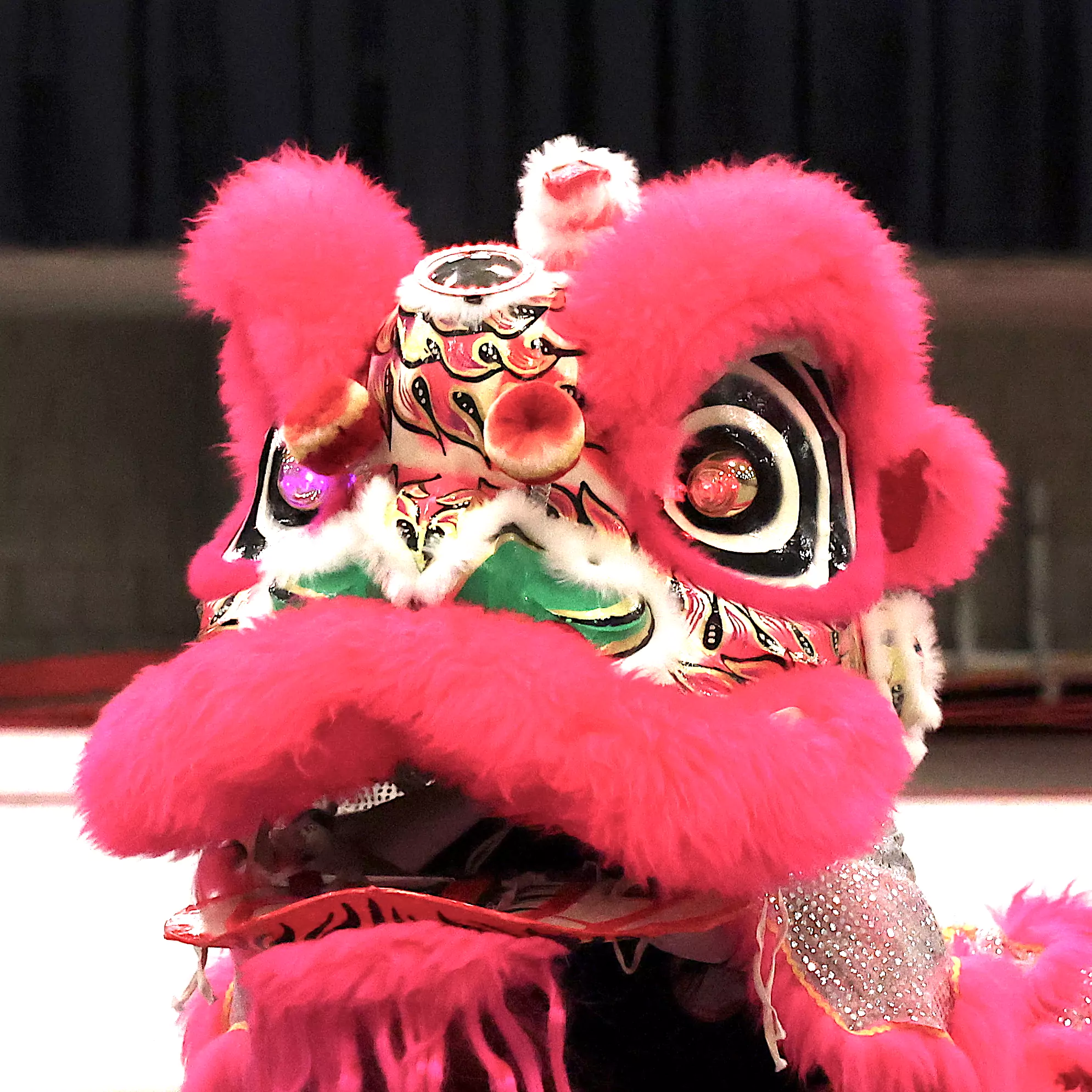 Pink Chinese Lion Head