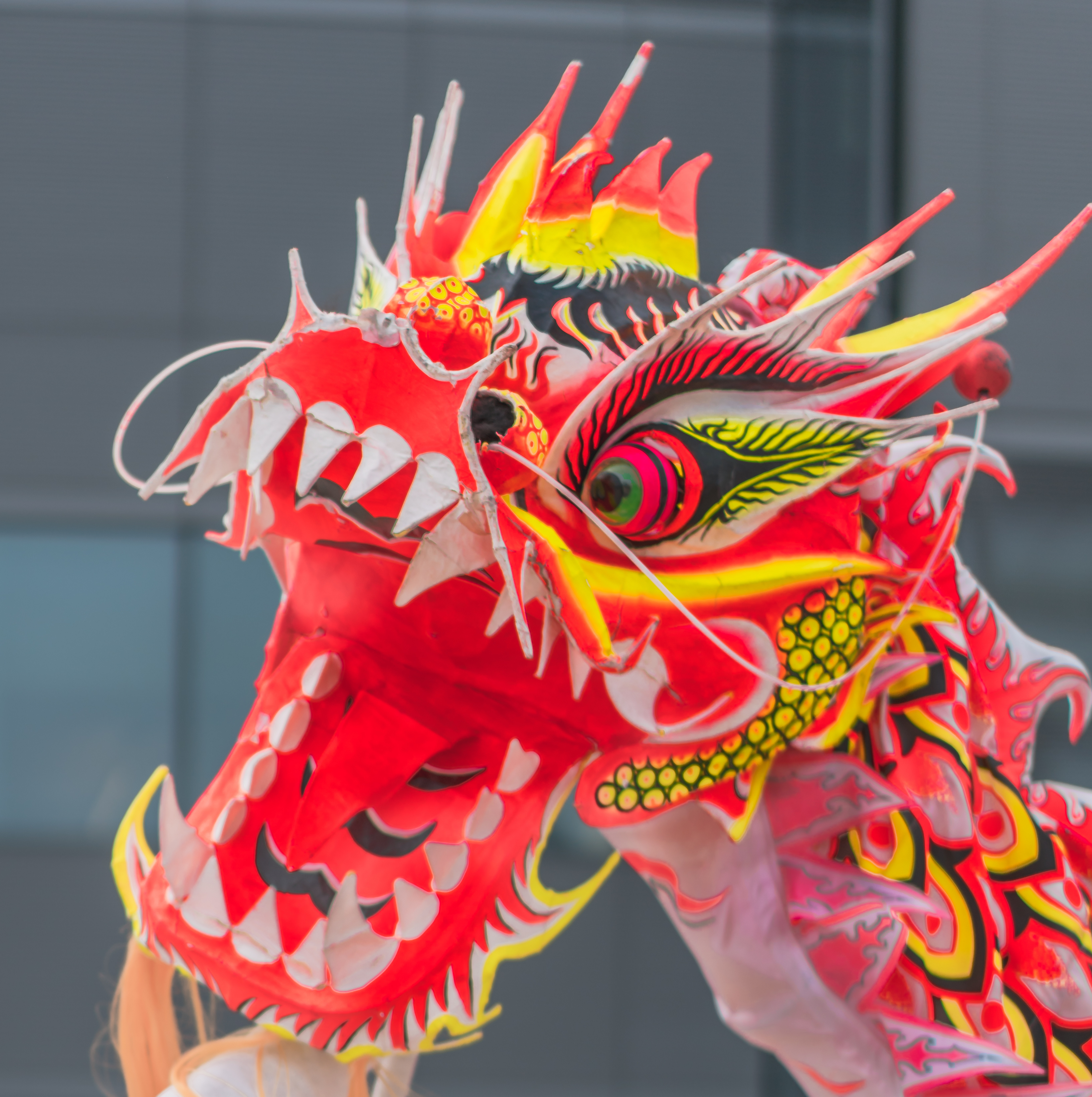 Red Chinese Dragon Head
