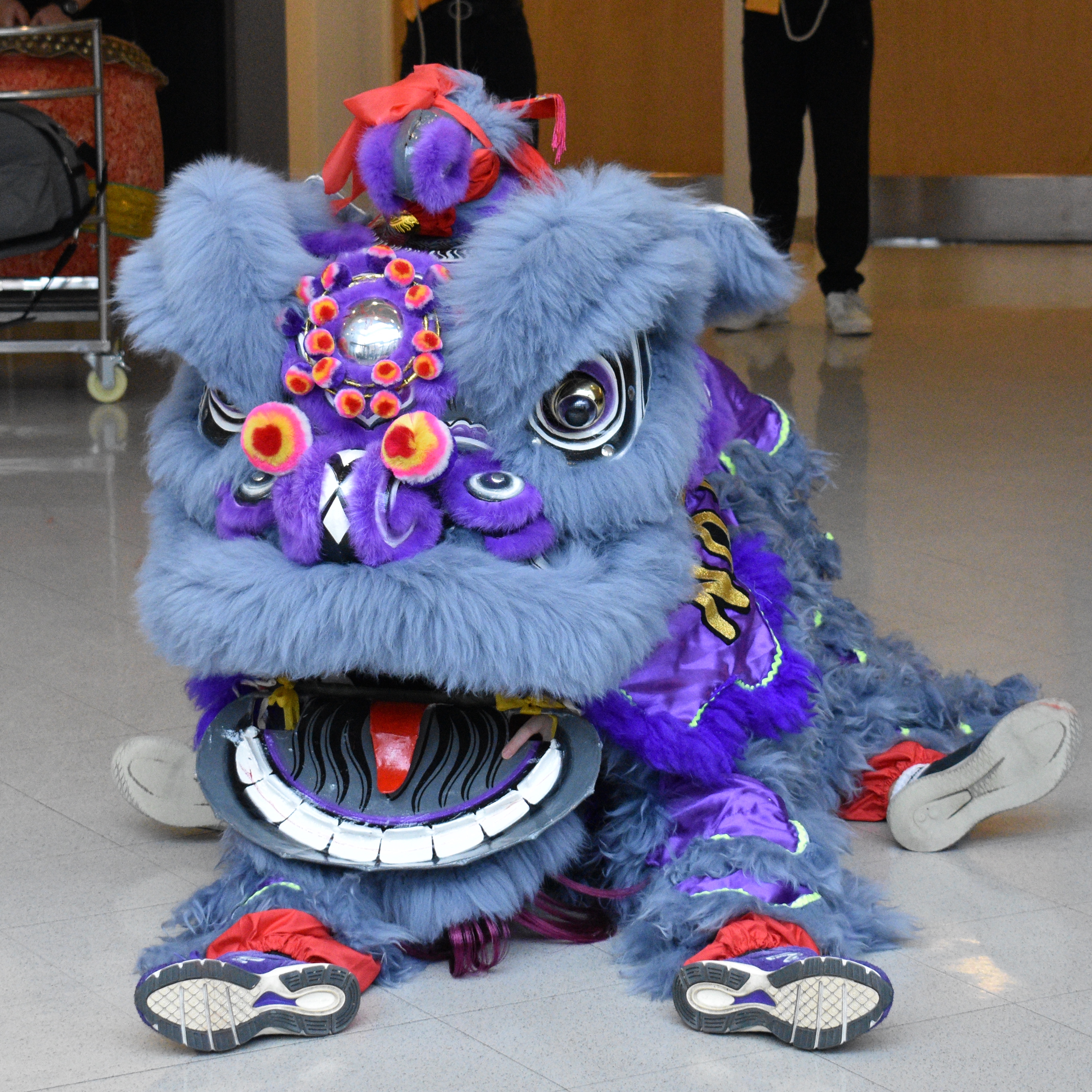 Purple Chinese Lion Head