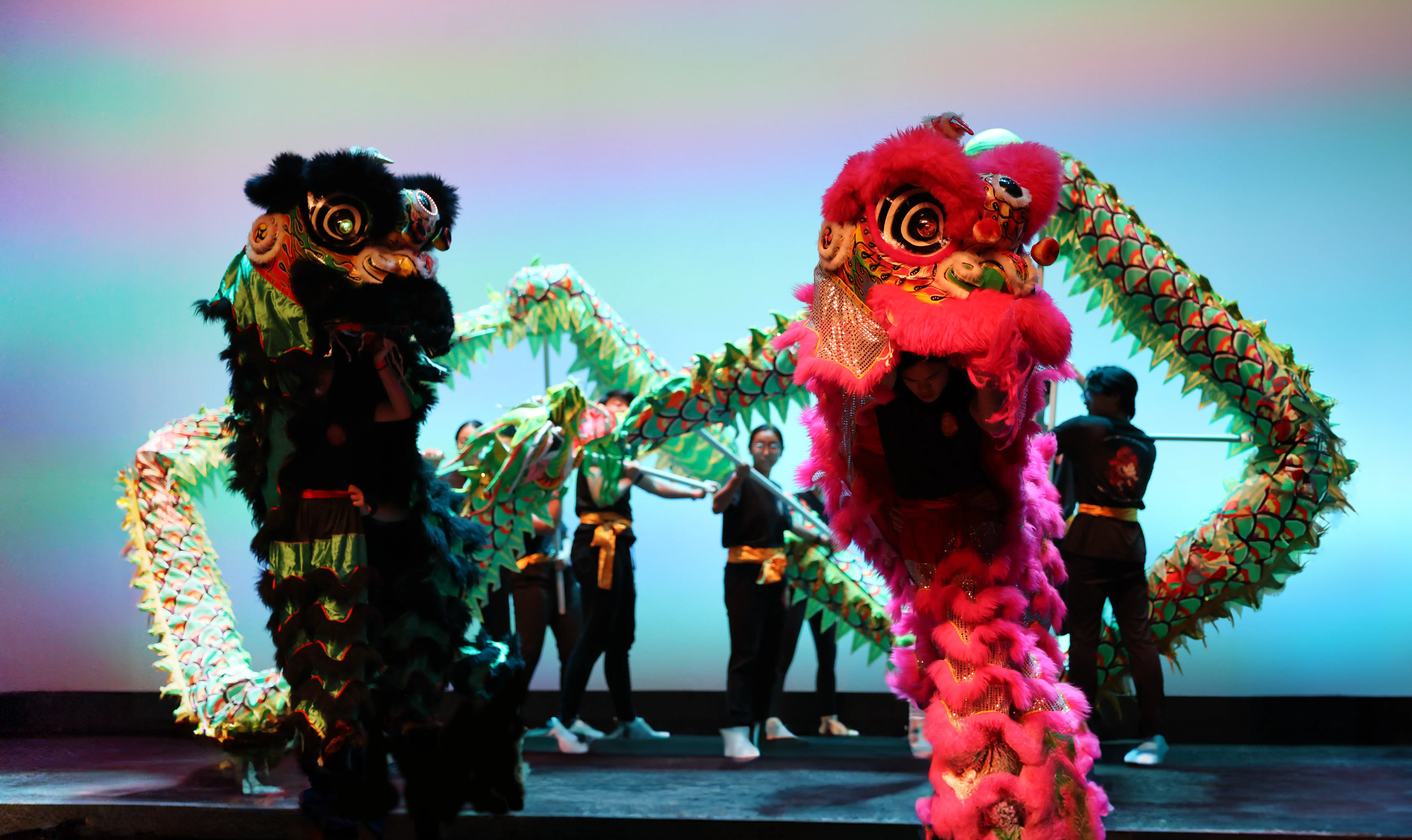 A lion and dragon dance performance by the Northeastern University Dragon and Lion Dance Troupe